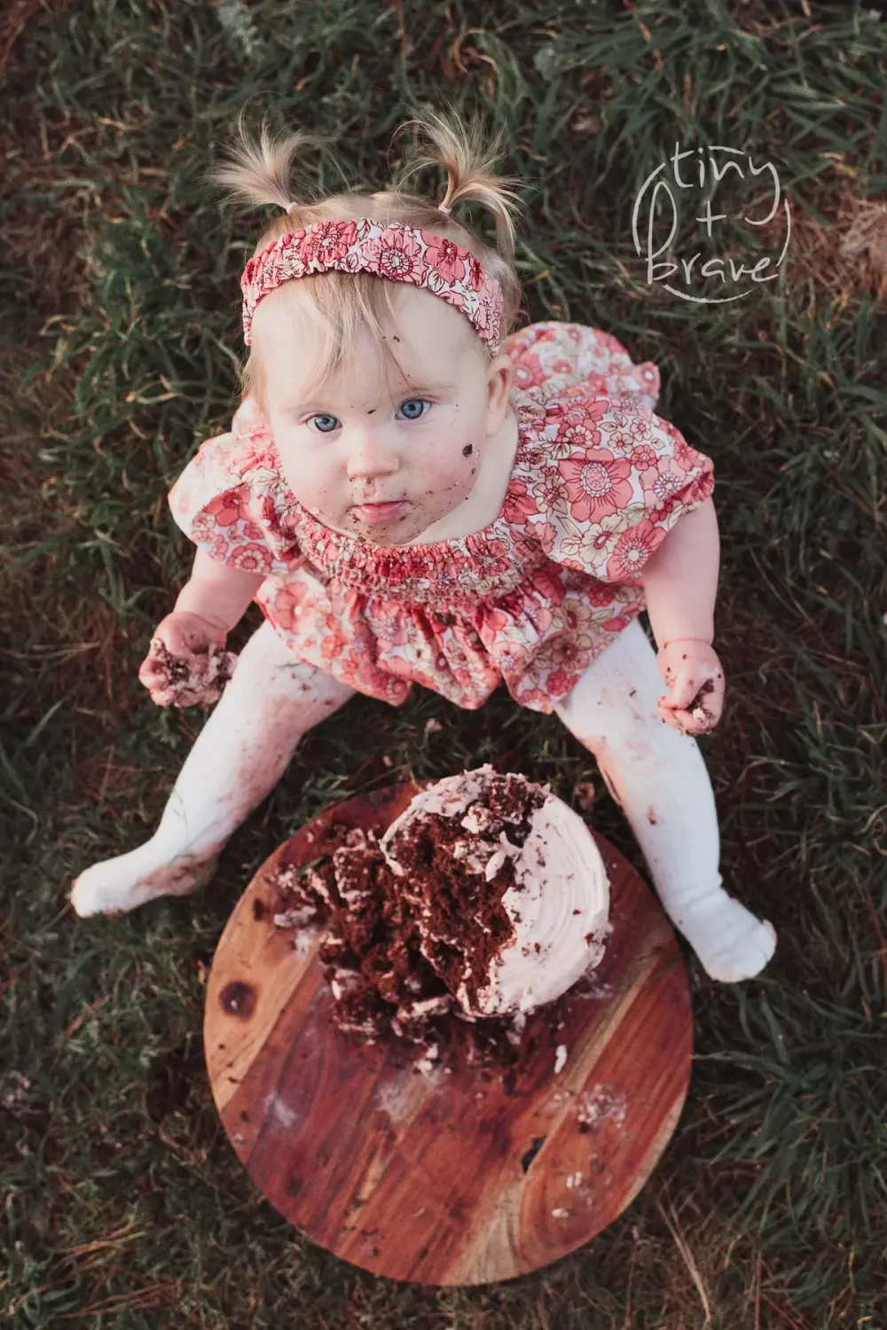 Photograph by Tiny and Brave