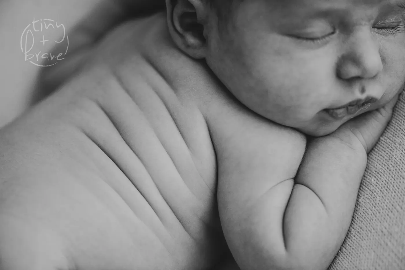 Newborn photograph by Tiny and Brave