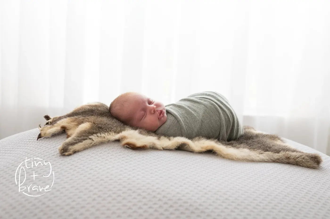 Newborn photograph by Tiny and Brave