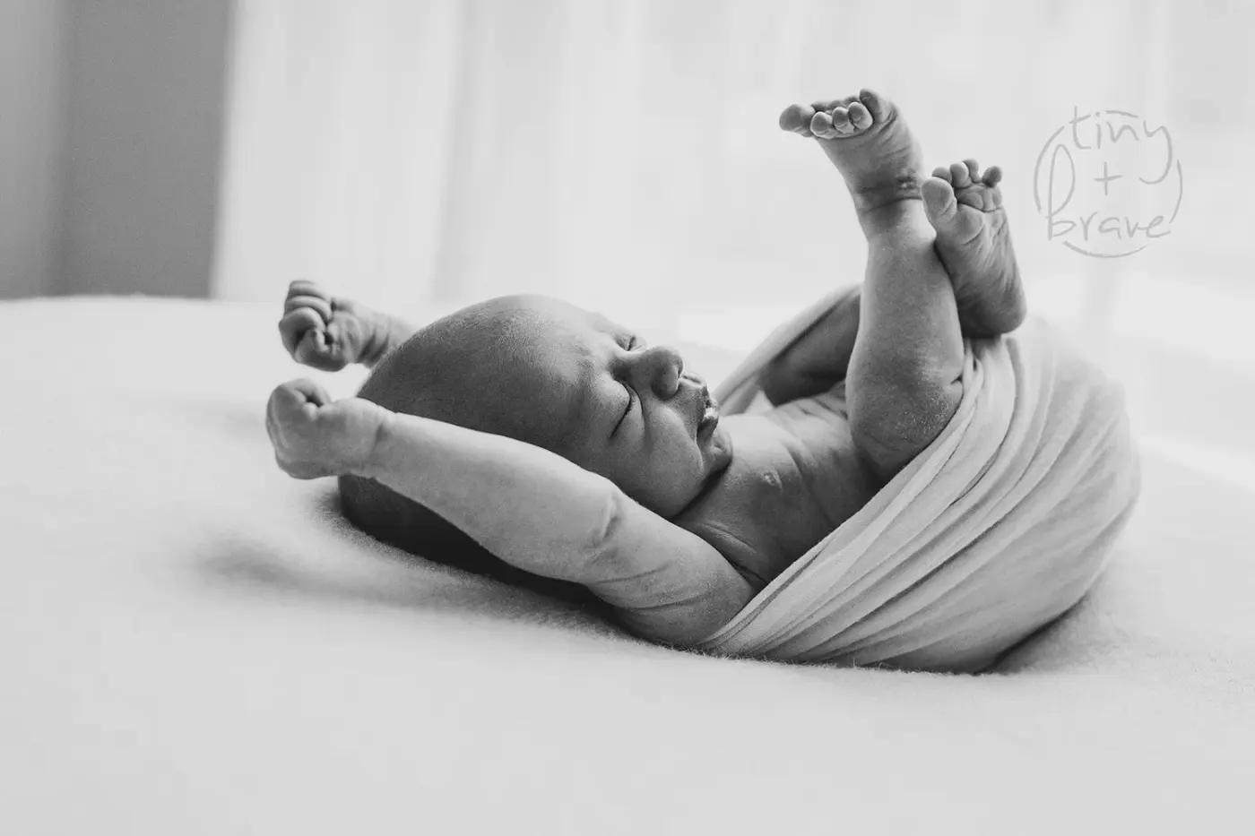Newborn photograph by Tiny and Brave