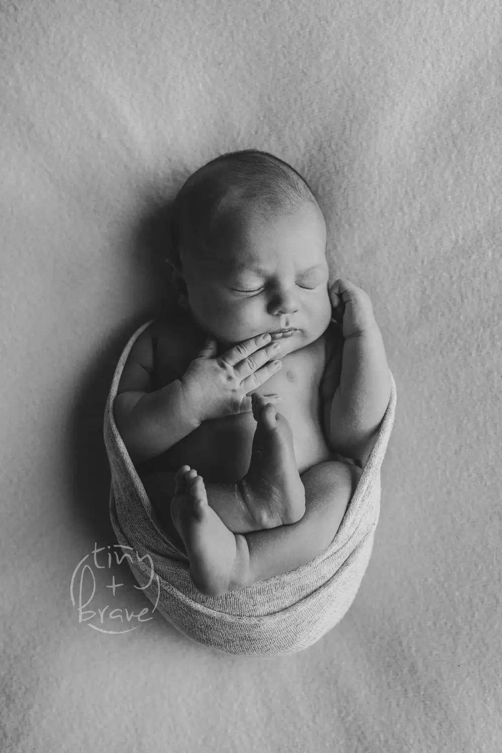 Newborn photograph by Tiny and Brave